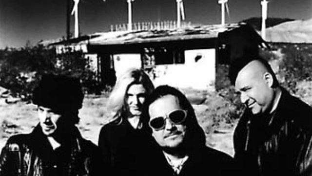 Tito  Tarantula Mexico