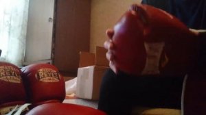 Cleto Reyes extra padding , Everlast mx обзор.