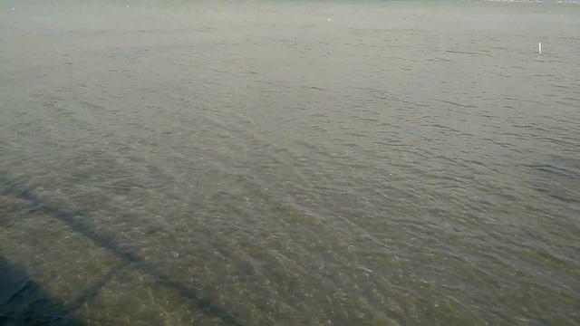 ОТКРЫТИЕ КУПАЛЬНОГО СЕЗОНА.ЖИЗНЬ У МОРЯ.Переезд на юг. смотреть онлайн