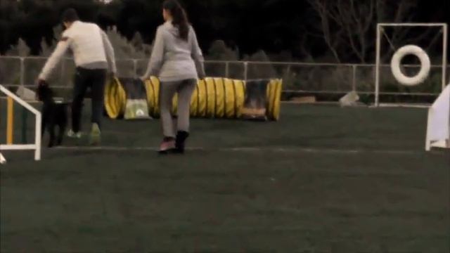 agility: Greek Lover Grand Calvera смотреть онлайн