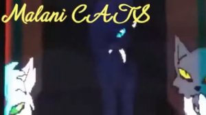 Коты Воители Бич клип