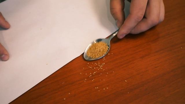 ПОСЧИТАЛИ СКОЛЬКО ПЕСЧИНОК  в 1 КИЛО САХАРА смотреть онлайн