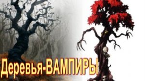 Деревья-вампиры помогают людям