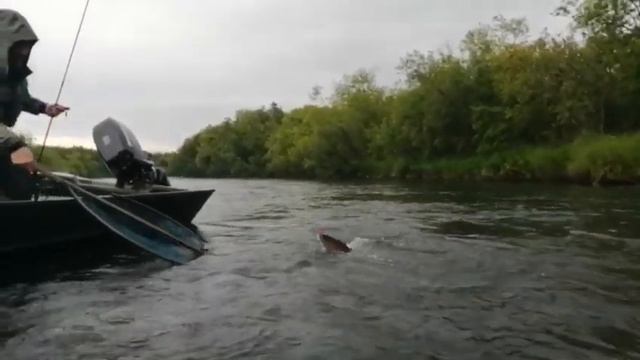 Камчатка. Рыболовные туры в Палане.