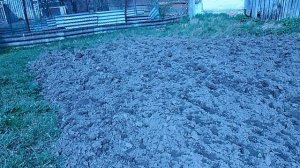 Обзор моего участка /Часть огорода на 13.04.2023