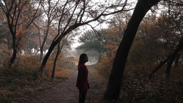 Почему заблудившись в лесу, человек ходит кругами? смотреть онлайн