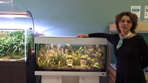 #Аквариум с экспресс-оформлением за #полцены!