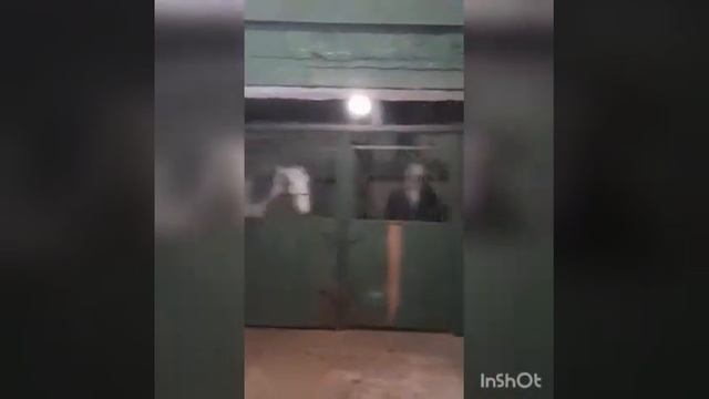 Лошади Васьки Таболяка смотреть онлайн