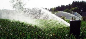 Автоматический полив. Автополив в действии.