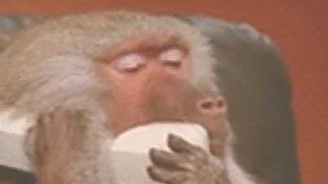 O Homem Spider Man #6 смотреть онлайн