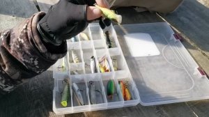 Топ лучших попперов на щуку 2018. Видеообзор по заказу Fmagazin