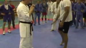 Лоу-кик Емельяненко Александр