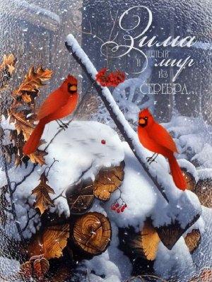 Добрый День! Самое Красивое Пожелание!