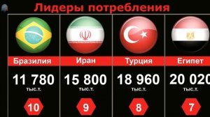 Топ 10 стран по производству и потреблению пшеницы