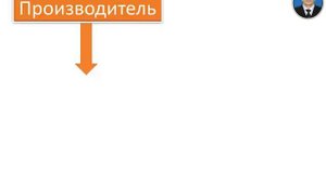 ЧТО ТАКОЕ ПИЩЕВЫЕ ЦЕПИ