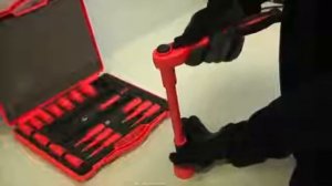 Обзор Набор торцевых ключей HAUPA 220404 (20 предметов)