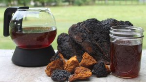 Лучшее средство  от всех полипов, кист и опухолей в организме!