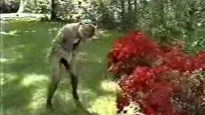 пЧела Залетела под юбку