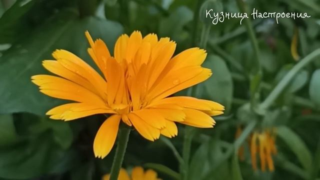 4 марта День Архипа и Филимона. Что нельзя делать 4 марта. Народные традиции и приметы.