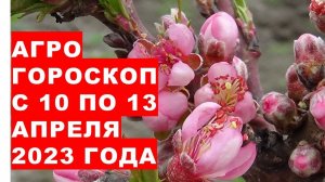 Агрогороскоп с 10 по 13 апреля. Агрогороскоп з 10 по 13 квітня 2023 року