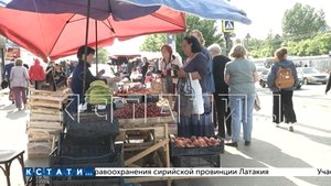 Торговцы-нелегалы уводят покупателей с официального рынка, жалобы продавцов не помогают