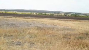 Капище Трёхостровское