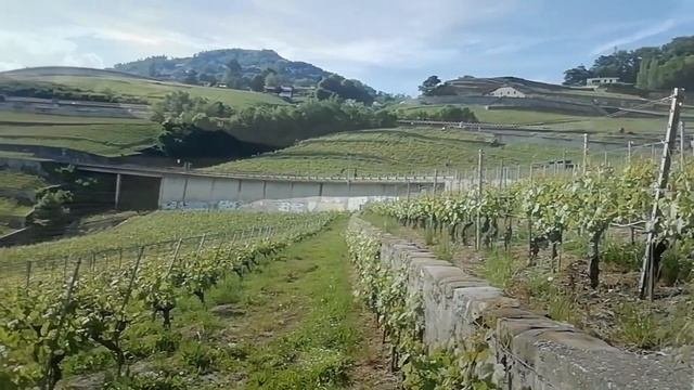 Швейцария.  Часть вторая.  Полная версия