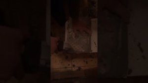 Ремонт ванной. Удаление плиточного клея