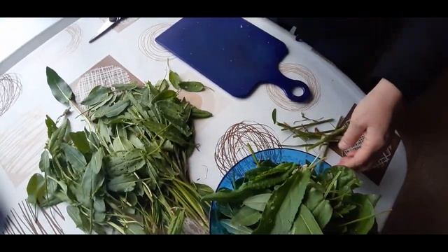 ?Как сделать пирожки из Щавеля? МАМА покажет! Рецепт вкусного пирога. смотреть онлайн