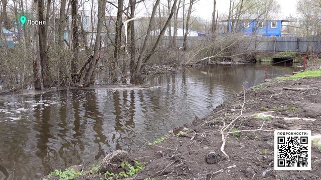 Чистые реки - здоровое будущее

Экологические вопросы успешно решают в Лобне