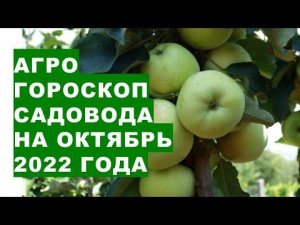 Агрогороскоп садовода на октябрь 2022 года