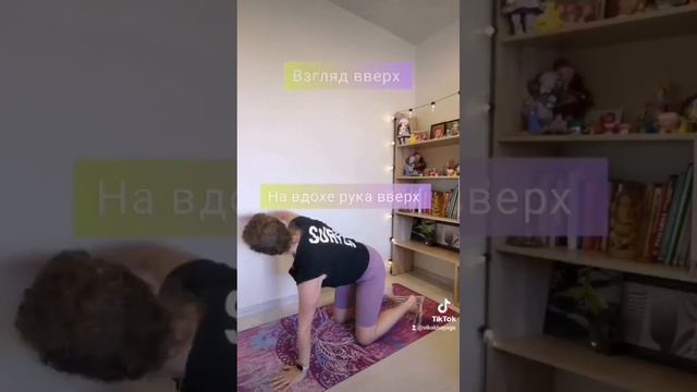 VID_20230504_145358_848.mp4