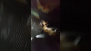 Замена лампочек на панели приборов Хёндай санта фе 1