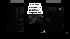 Если тебя критикуют значит ты впереди