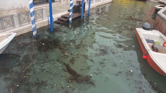 ❣️Italy?Венеция сегодня(первый месяц лета) смотреть онлайн