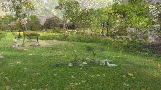 Кошки смотрят телевизор смотреть онлайн