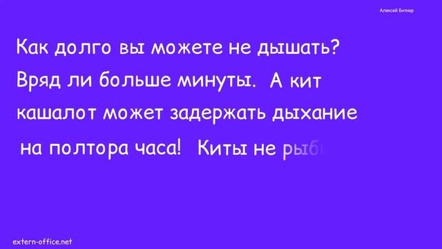 Границы предложения