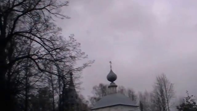 Как  вырастить  дерево ореха маньчжурского (центральный регион РФ)