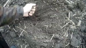 Пашня по Овсинскому. Боронование. Сравнение потерь влаги.