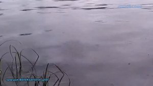 Всё сначала начать