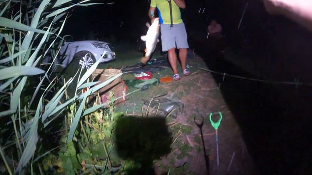 Пруд Новоприморский - карп румынский. Рыбалка в Таганроге смотреть онлайн