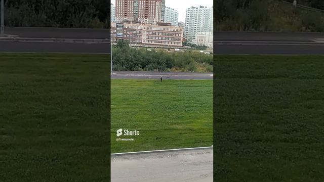 Скос большущего газона #Shorts