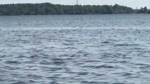 Рыбалка онлайн. Поплавочная ловля крупной плотвы на озере Шарташ