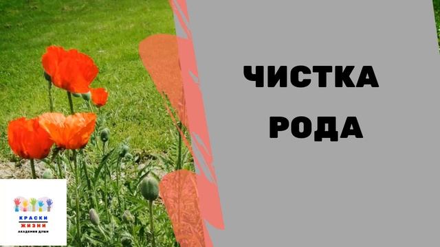 Чистка рода смотреть онлайн