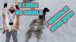 ОХОТА НА УШАСТЫХ В ЯНВАРЕ
