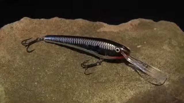 Rapala Trolls To Minnow смотреть онлайн