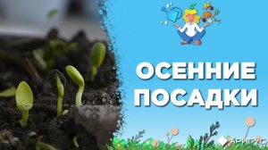 Осенние посадки: что нужно садить в это время года и почему