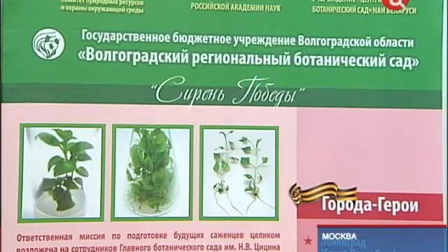 XIX Международная выставка «ЦВЕТЫ/FlOWERS-IPM-2012» на ВВЦ! смотреть онлайн