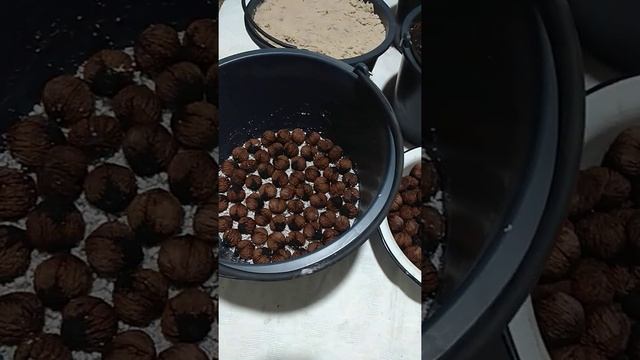 Чёрный Орех Стратификация 13.01.2022год. смотреть онлайн