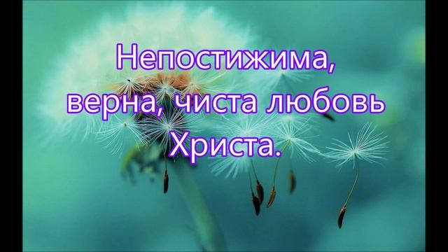 Божья любовь ей подобной в мире нет/// Божья Любовь
